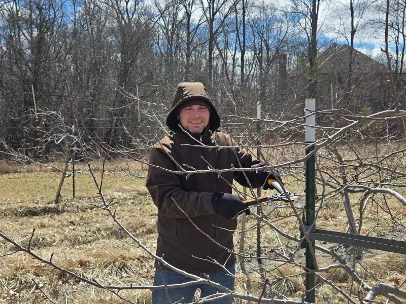 Pruning the Amrita Farms orchard