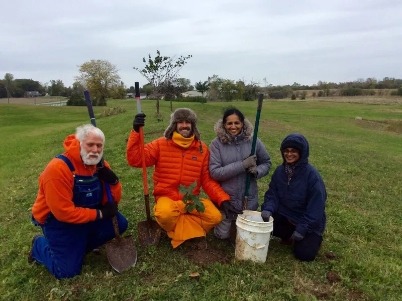 Tree planting at Amrita Farms