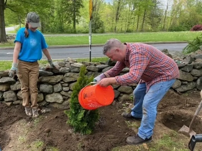Planting a tree with Embracing the Trees New England
