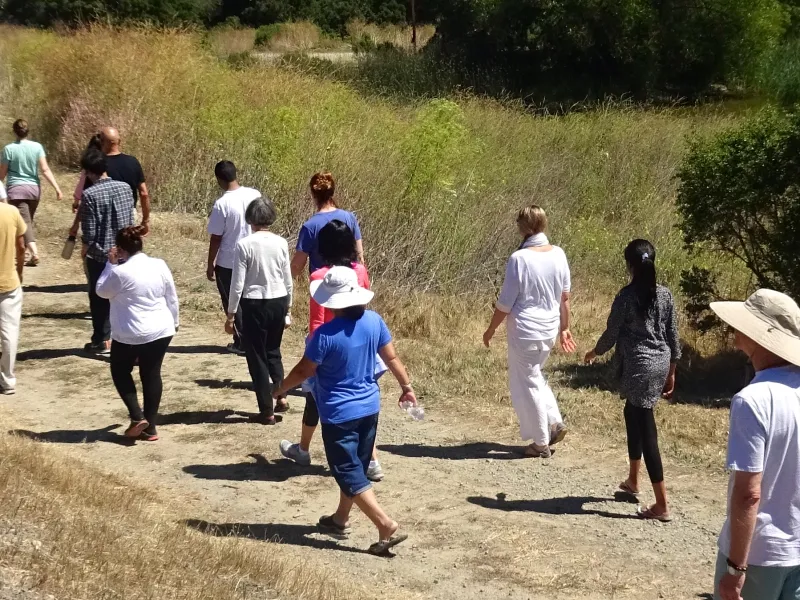 Walking meditation on International Day of Yoga