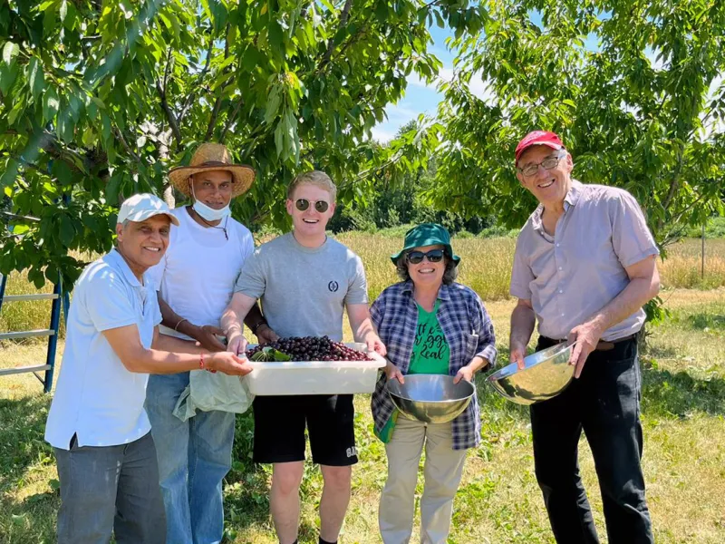 July 13: Cherry Season at the Farm