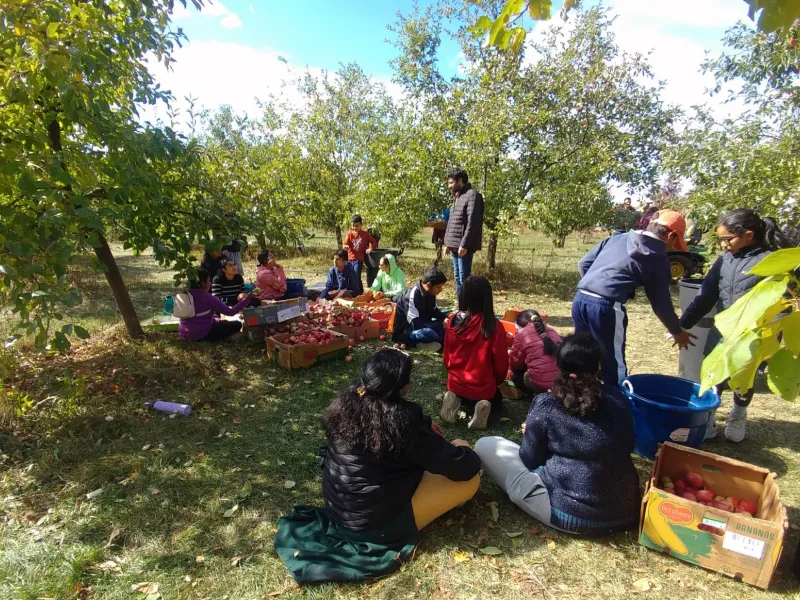 Oct 12: Thanksgiving on the Farm