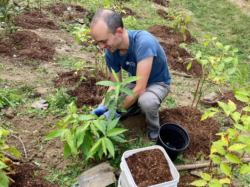 Tree planting 2023