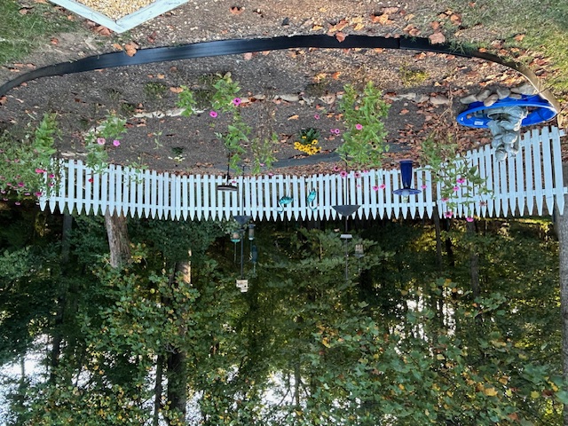 The bird and butterfly garden