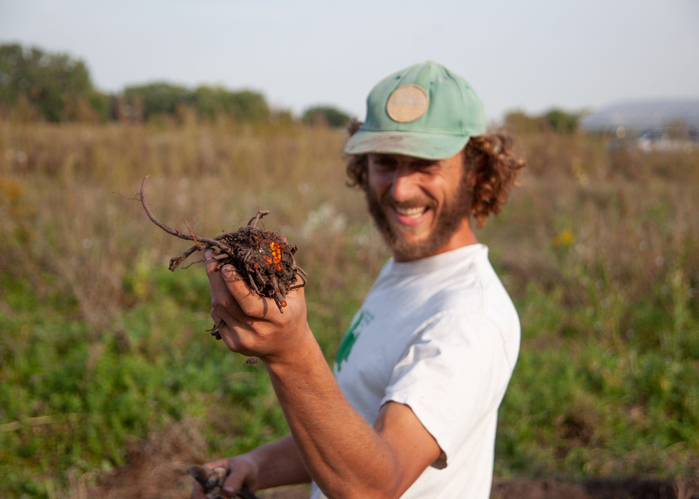 The madder-root harvest for natural dye at MA Center Chicago