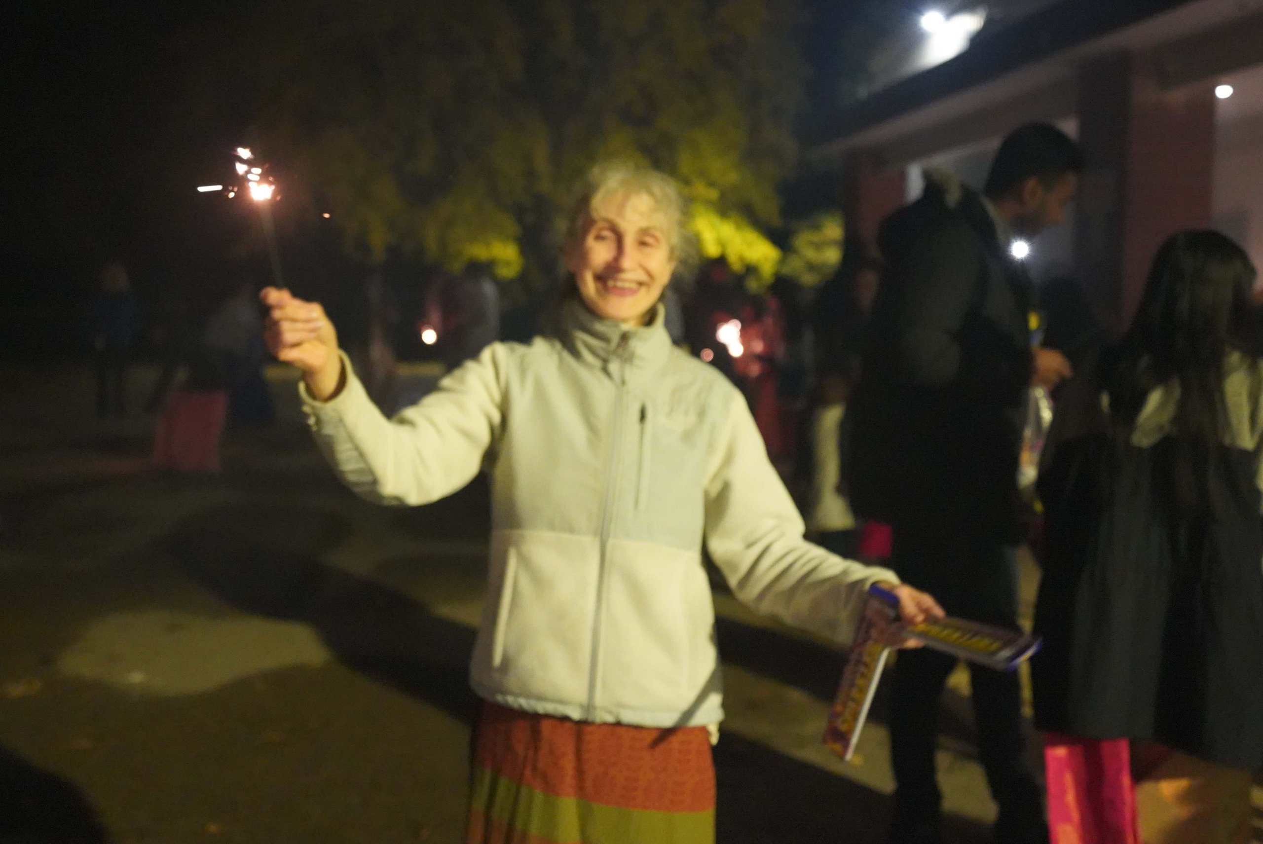 Diwali 2022 Festivities with Swami Shantamritananda Puri
