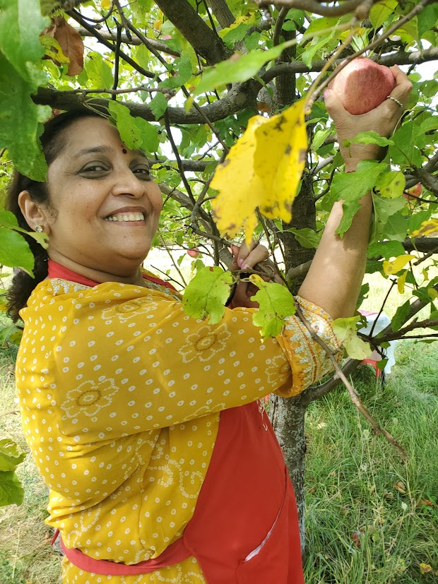 Harvesting Hope: Orchard Seva at MA Center Chicago