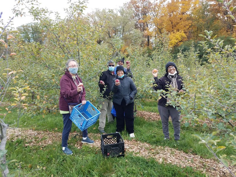 Socially Distant Apple Picking