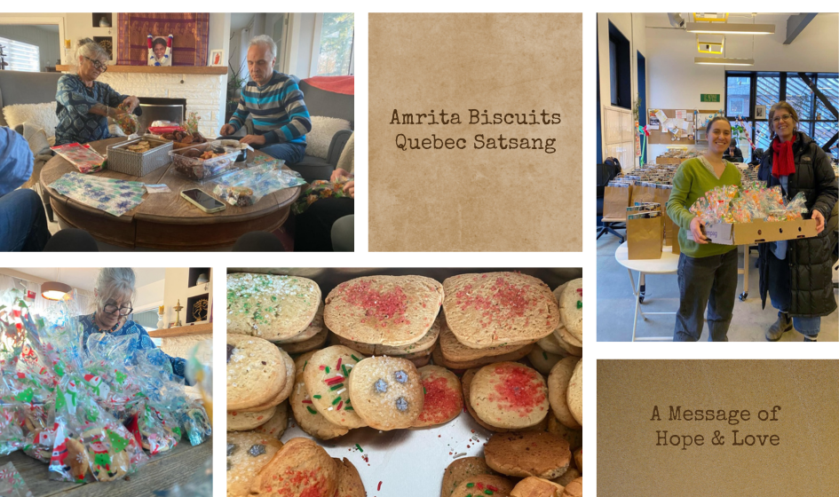 Amrita Biscuits gift bags, Amma Quebec