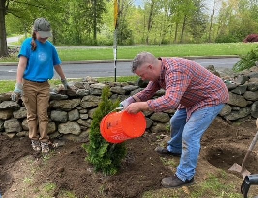 Planting a tree with Embracing the Trees New England