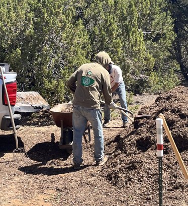 Volunteers spreading mulch in the ashram orchard