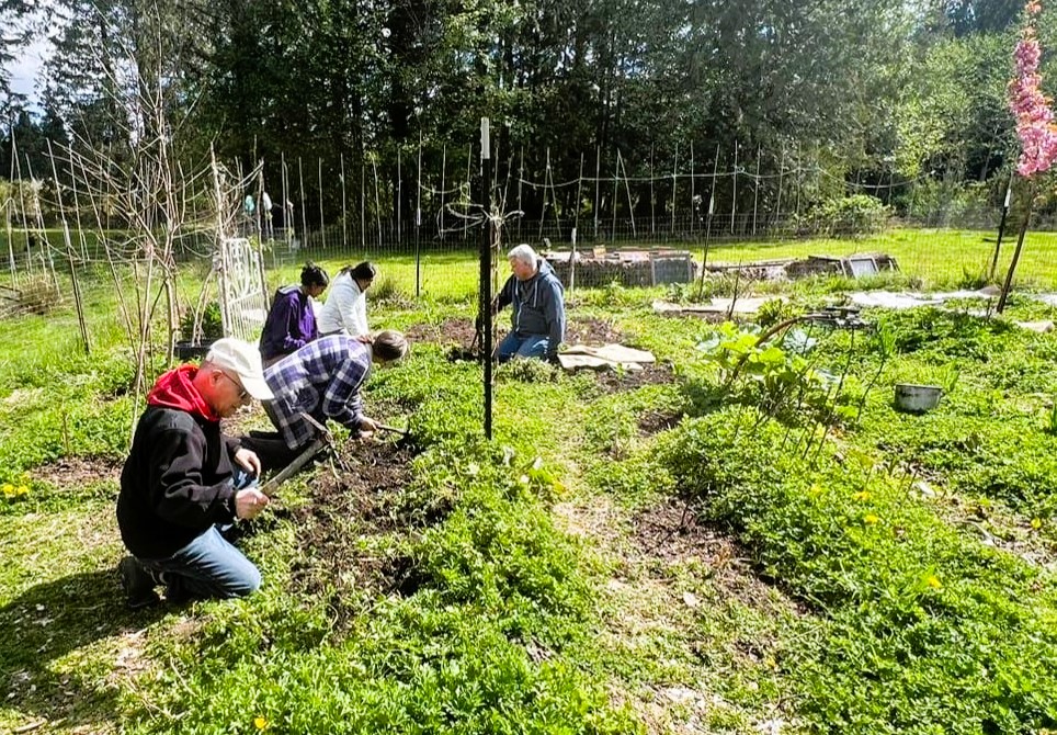 GreenFriends volunteers in the garden