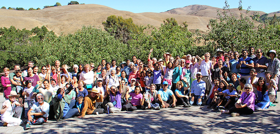 Community Seva Day: Fall Seva Fiesta