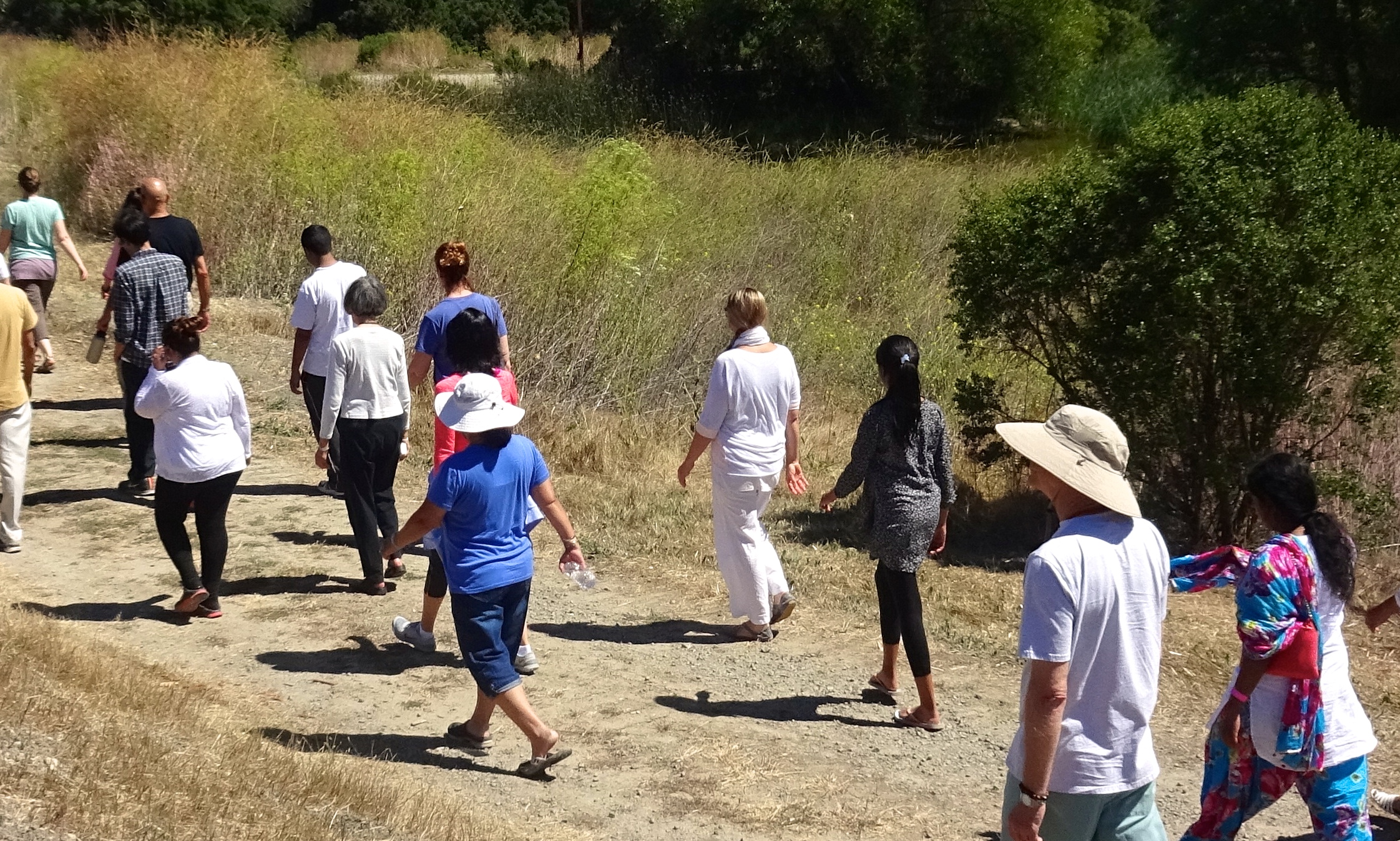 Walking meditation on International Day of Yoga