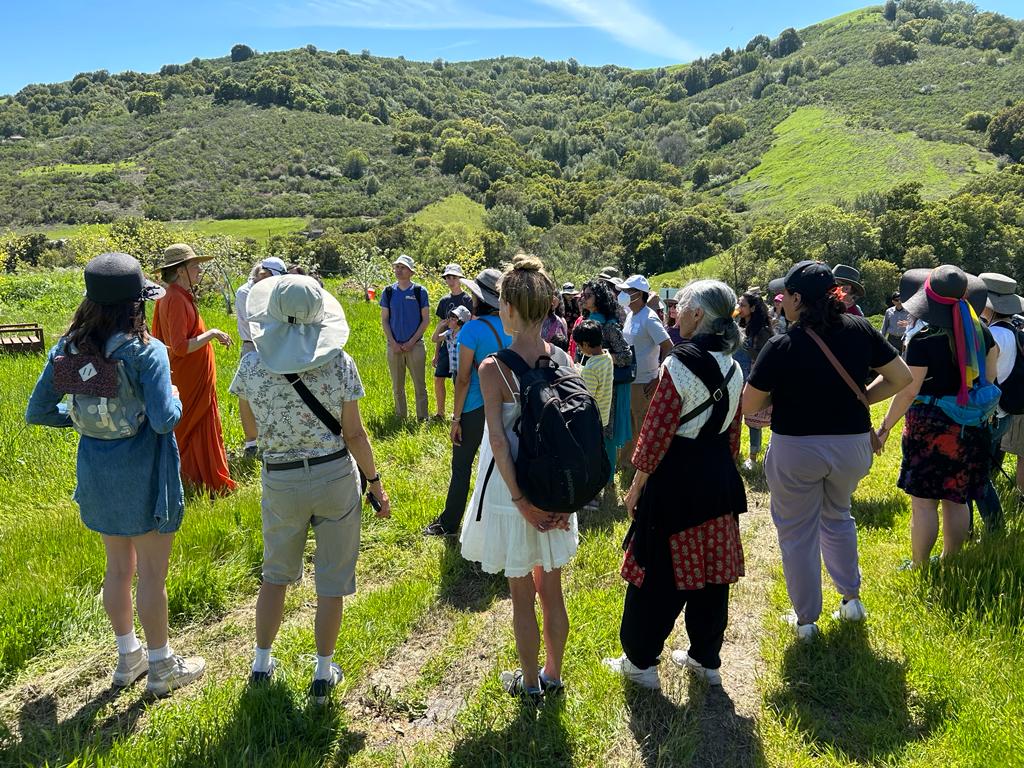 A GreenFriends Farm tour through the orchard hills