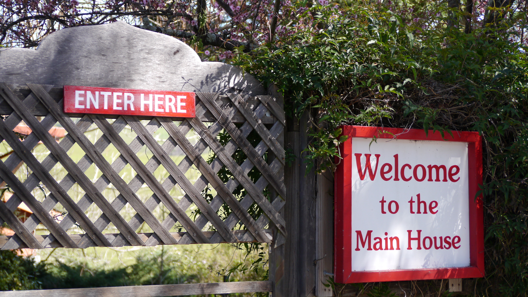 Welcome to the Main House at MA Center San Ramon