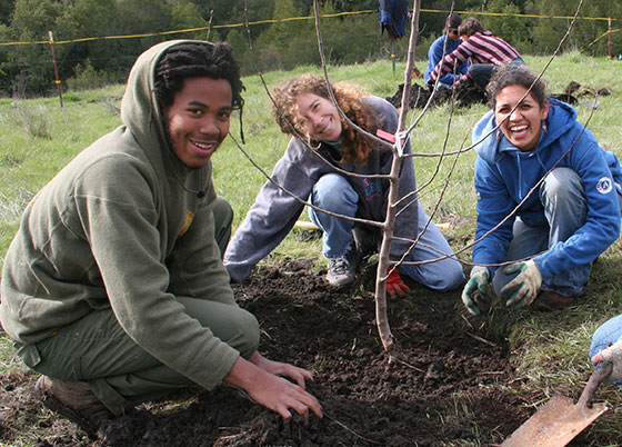 Youth planting a tree at MA Center San Ramon