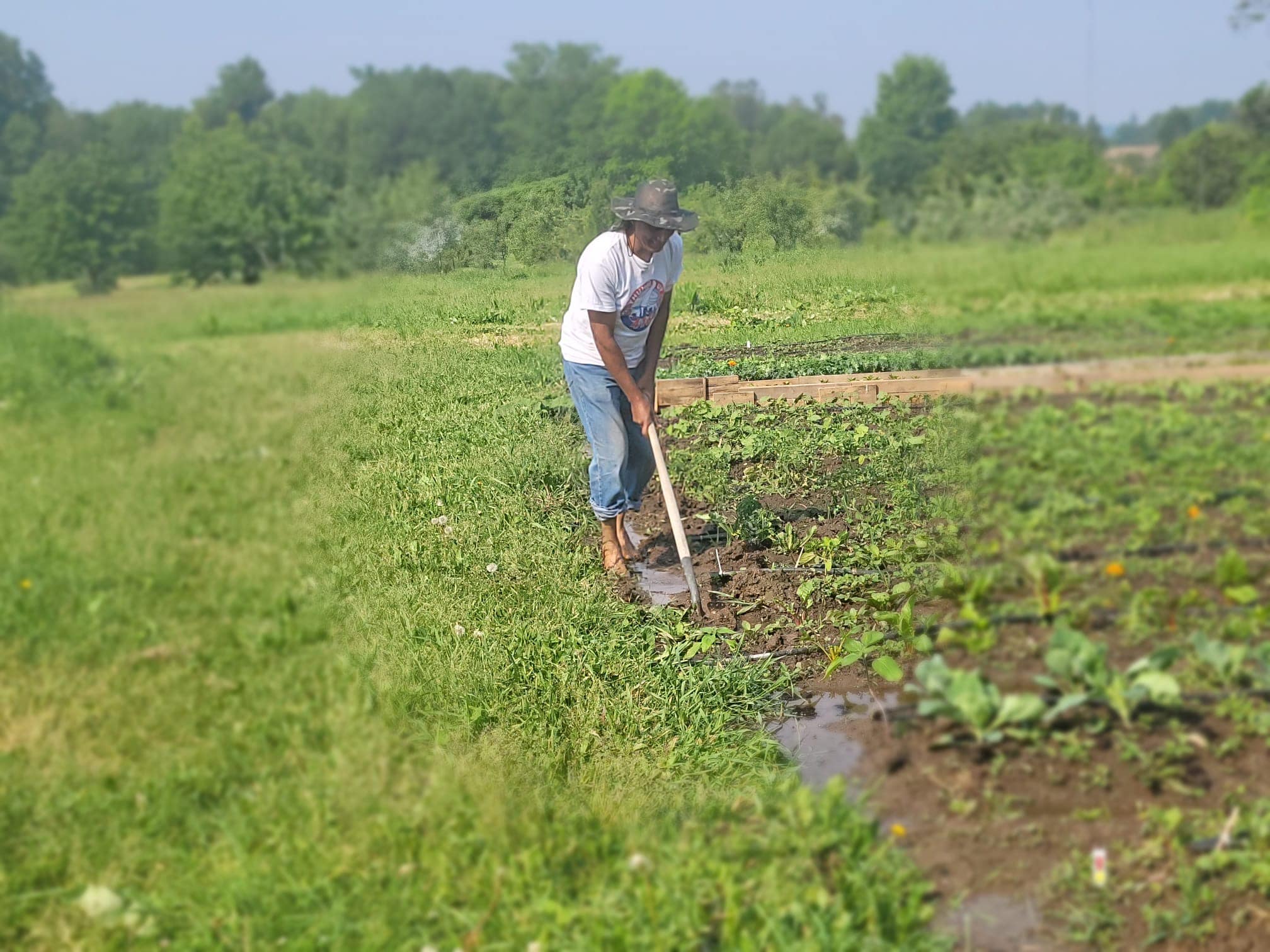 June 20: Farming Seva