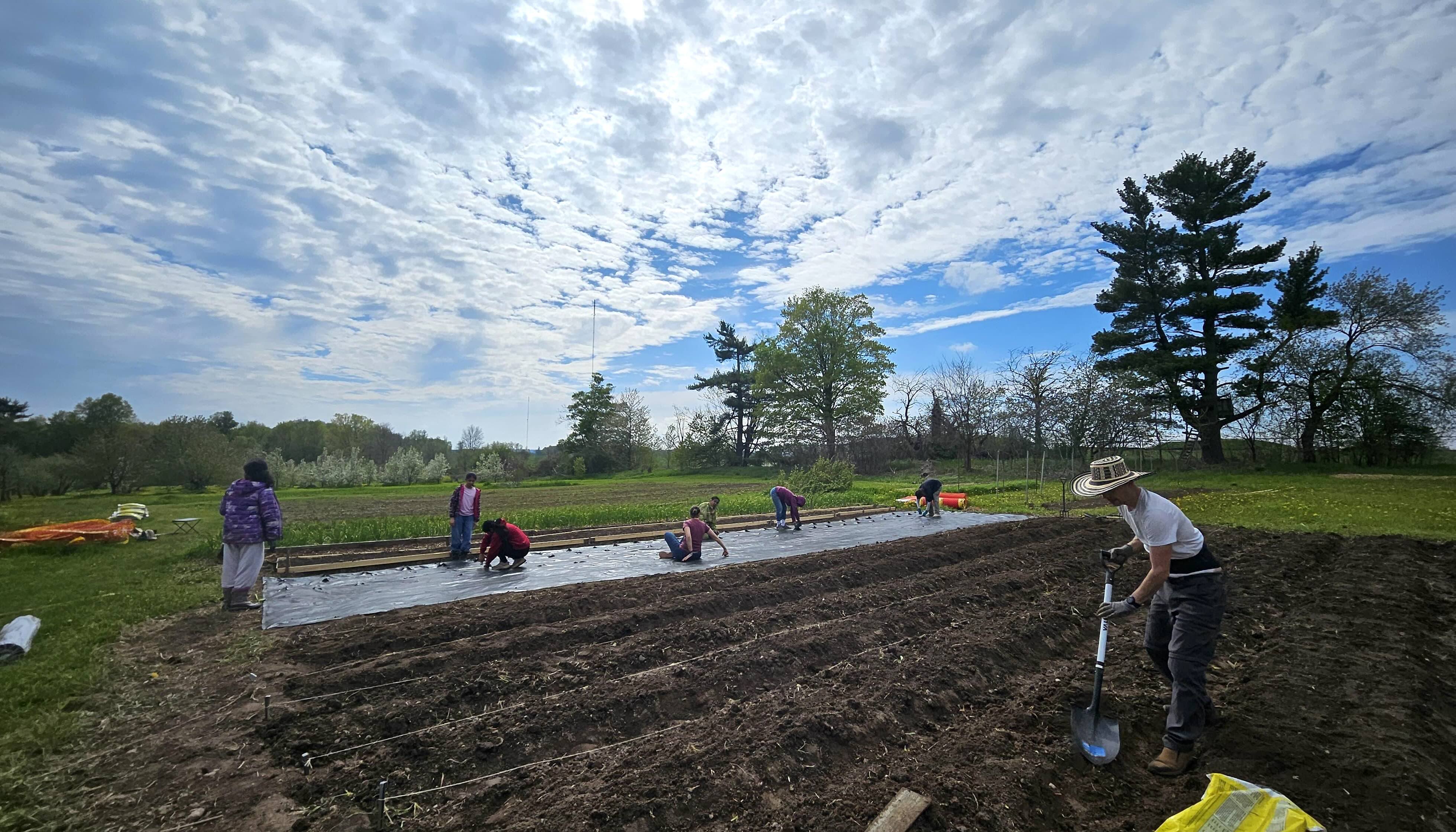 Farm Update: Spring Planting and Moving the Beehives