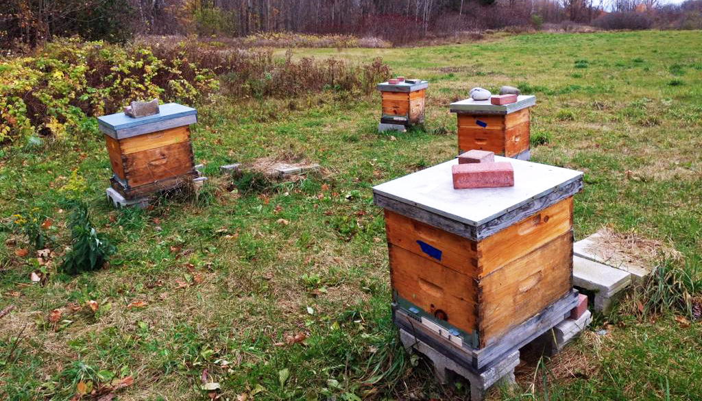December 12: Farming Update
