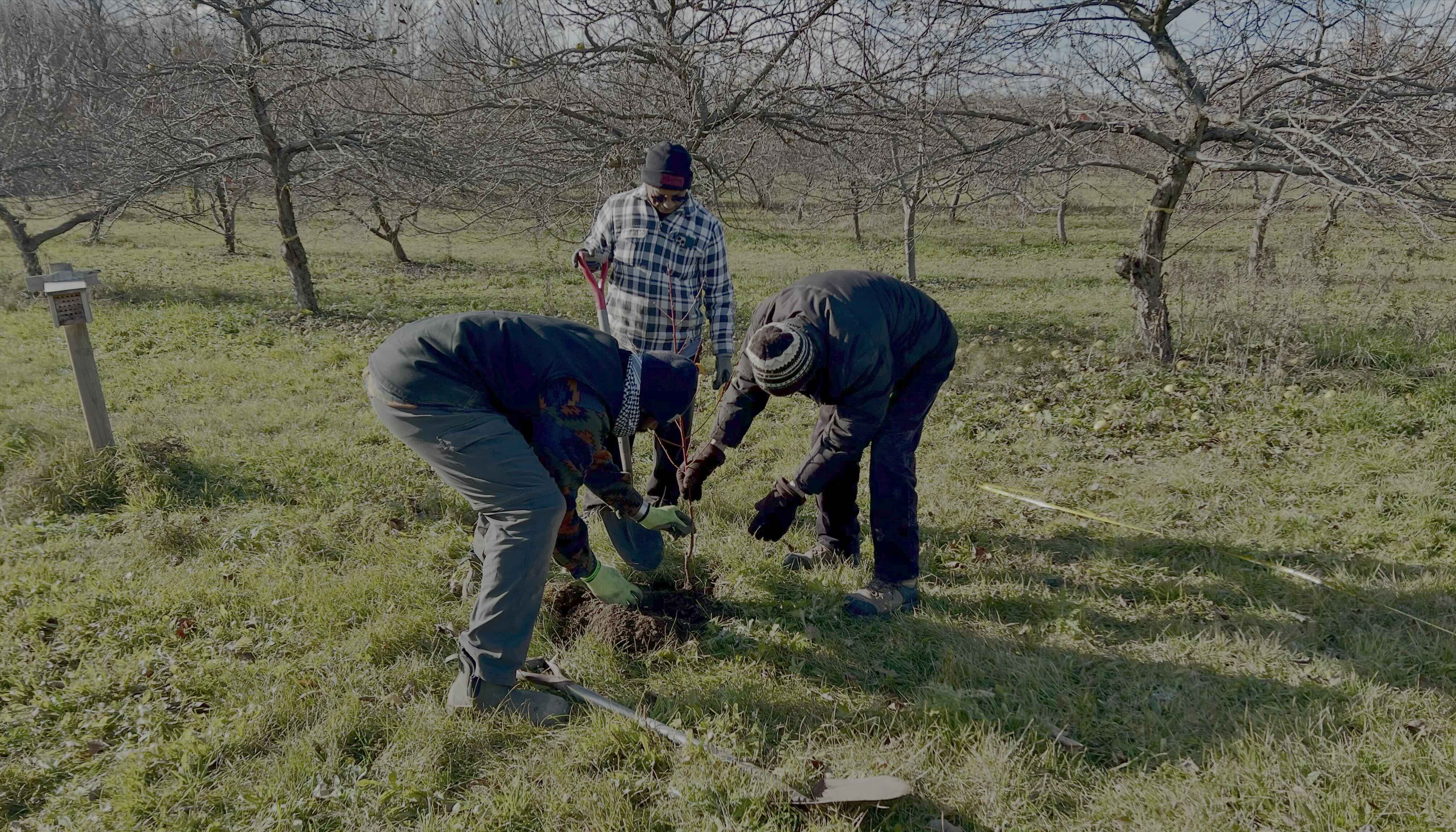 Farming Seva - Nov 22