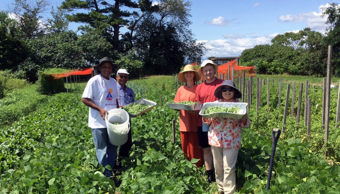 Aug 5-7: Farming Seva