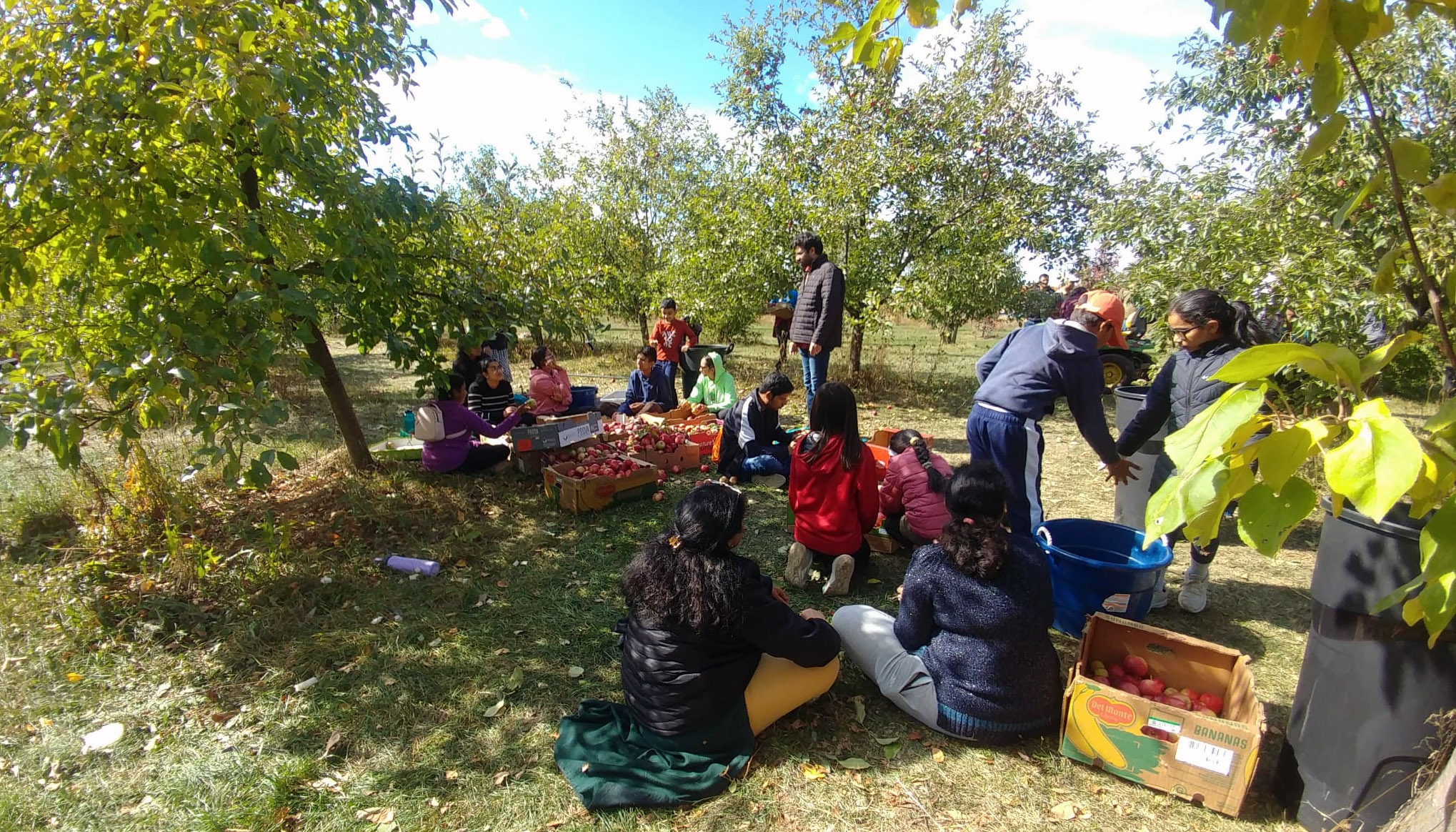 Oct 12: Thanksgiving on the Farm