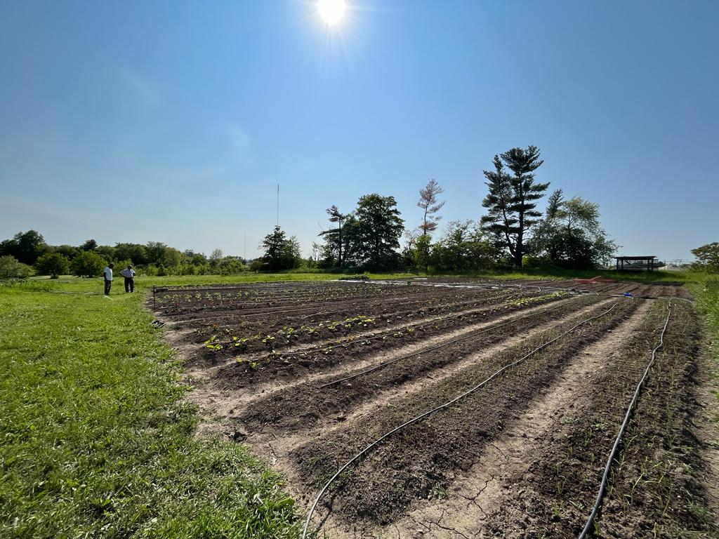 June 3: Farming Seva