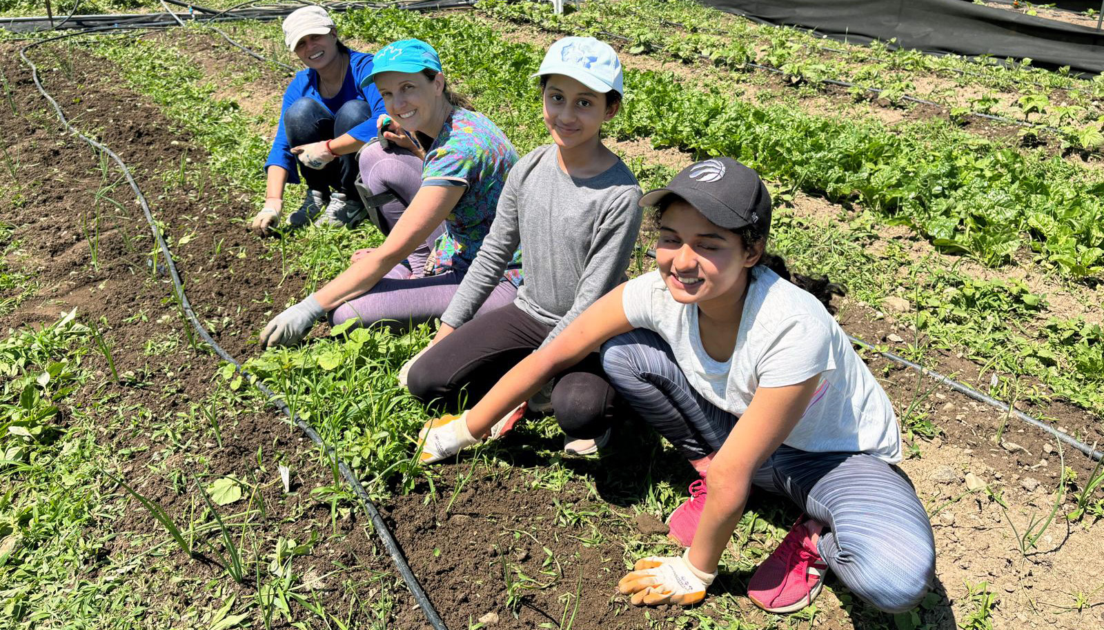 Farming Seva - June 29