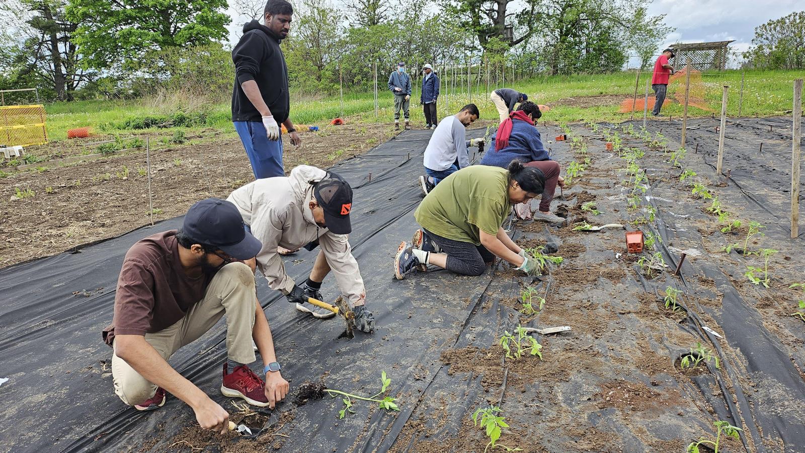 Farming Seva - May 24