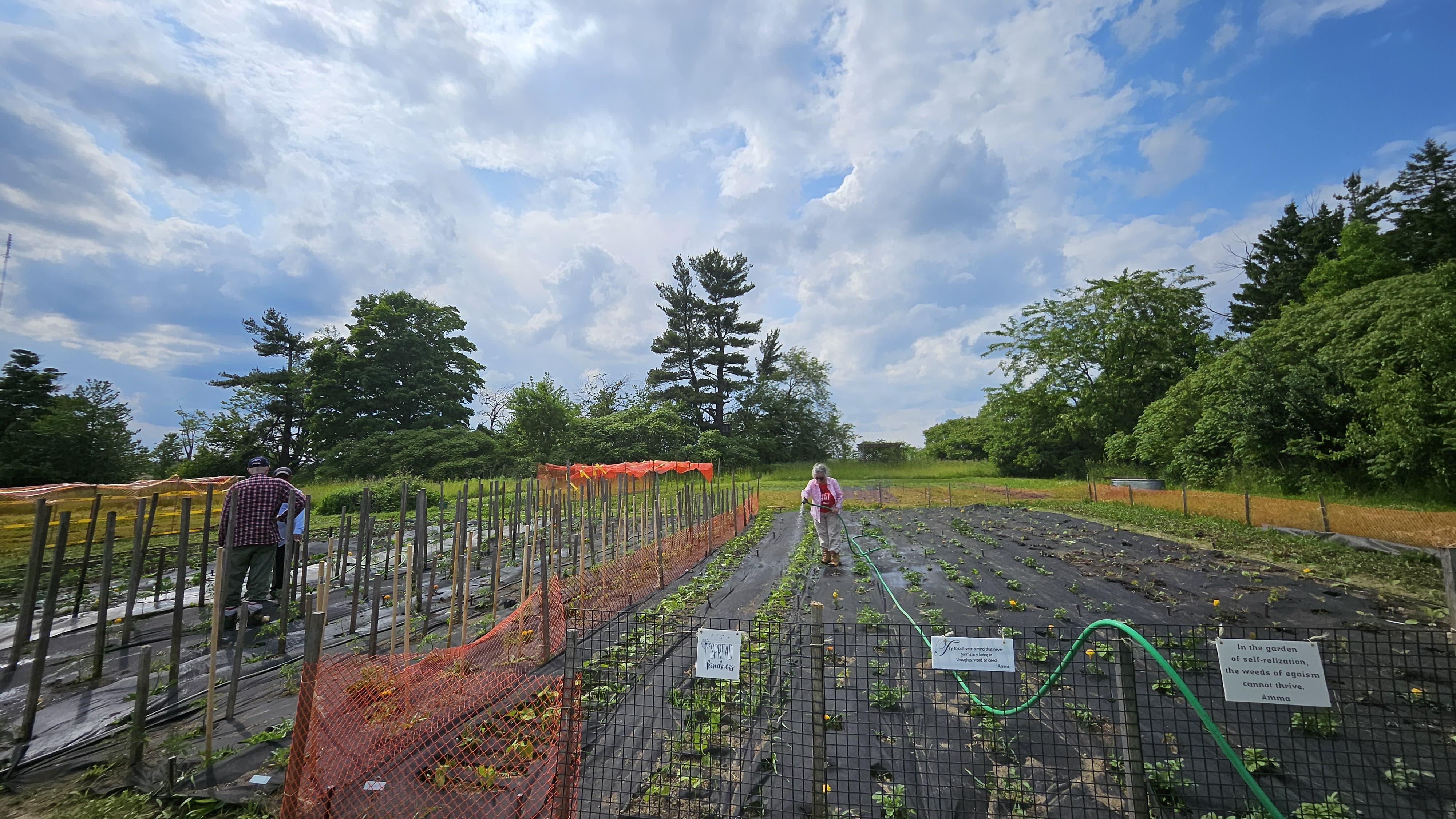 Farming Seva - June 21