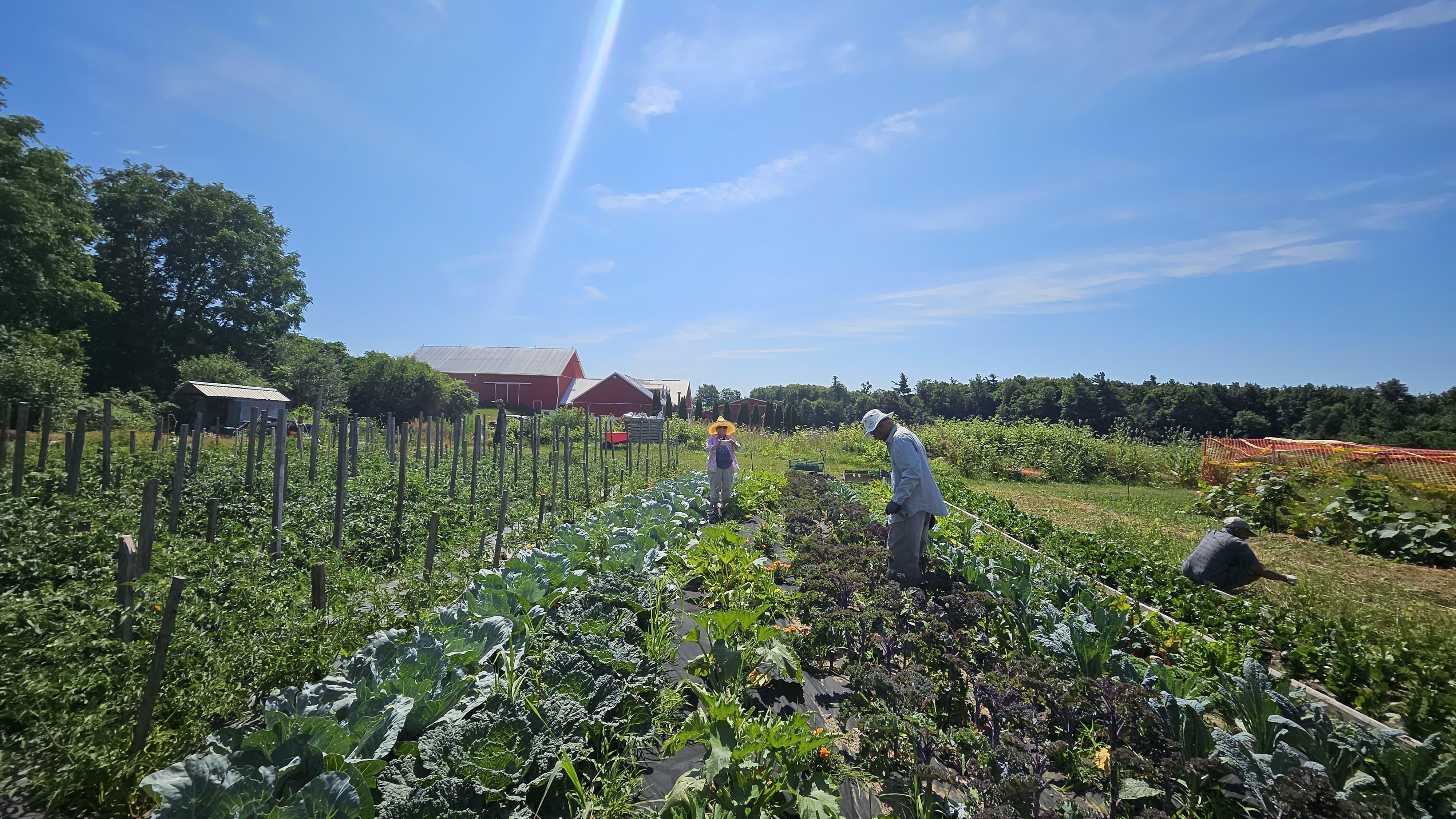 Farming Seva - July 26