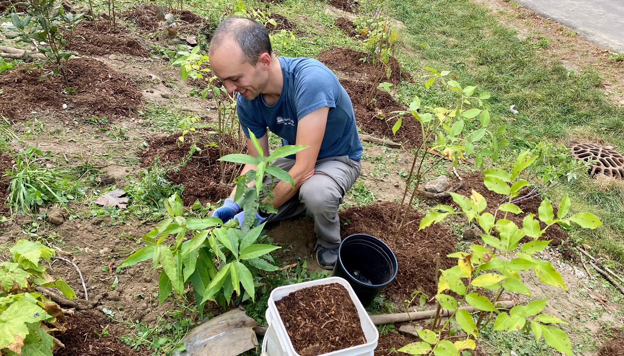 Tree planting 2023