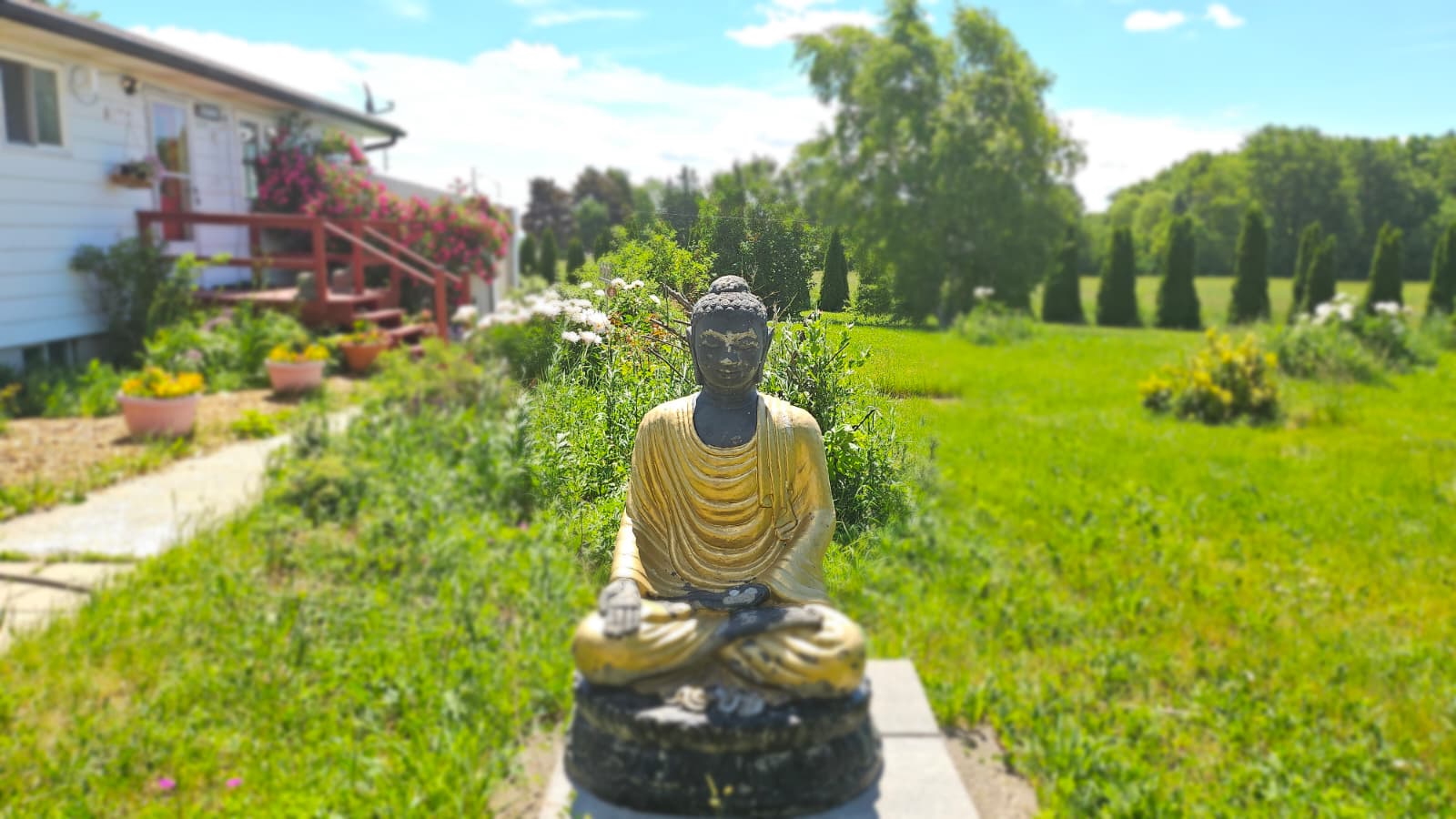 Meditating Buddha at Amma Canada Farms