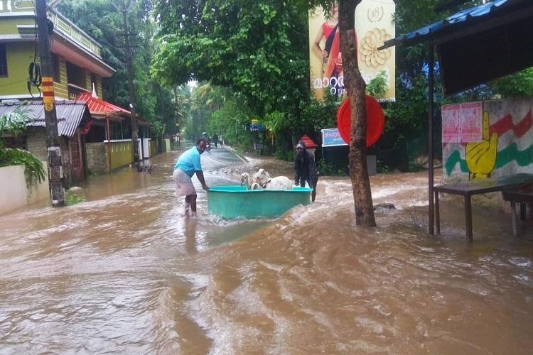 Amma's response to the recent Kerala Floods - 2019