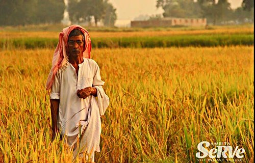 Amrita Serve - Making Villages Self-reliant
