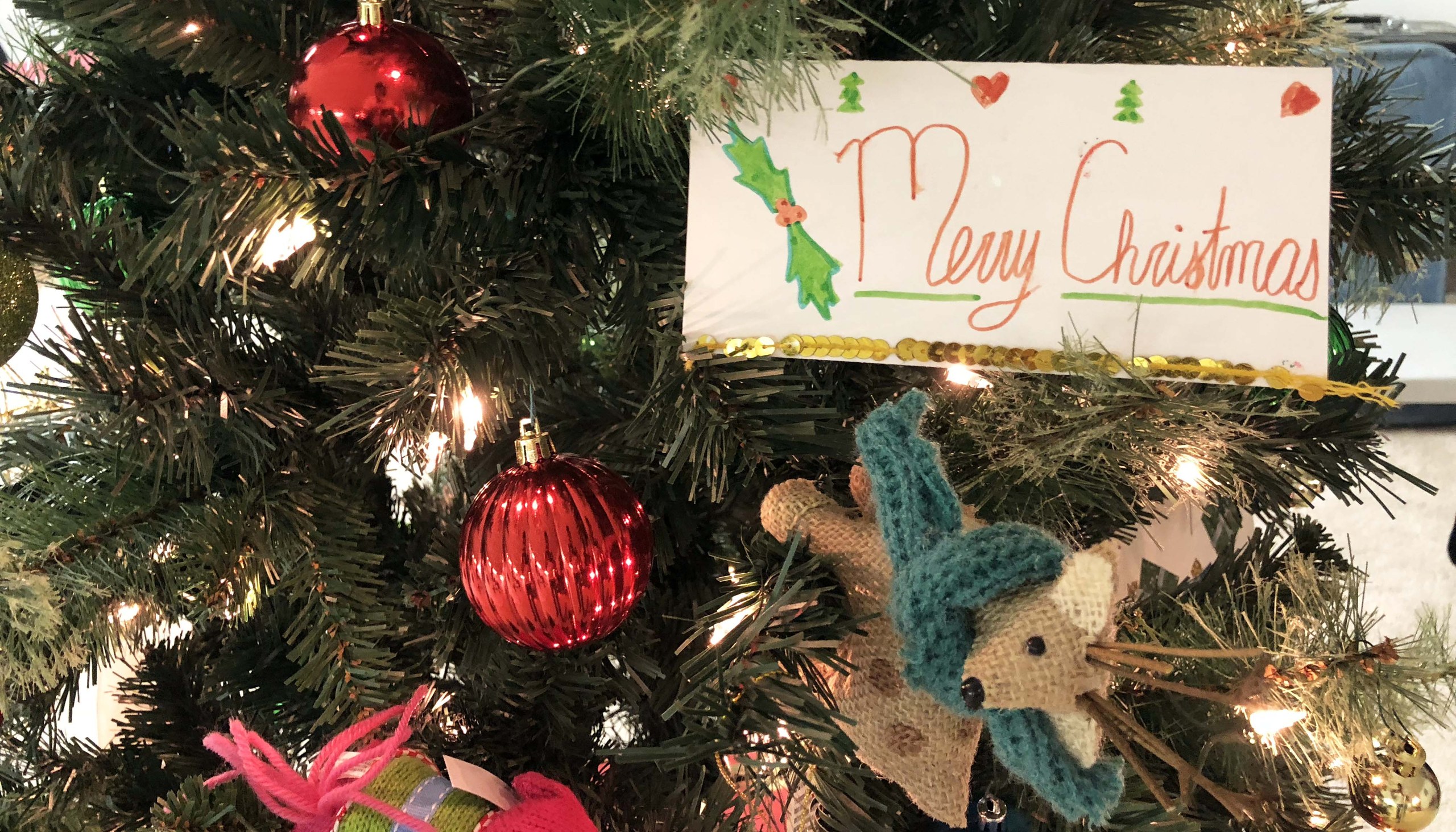 Dec 23: Christmas Satsang