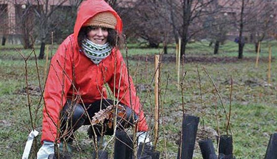Planting 600 Trees near Milan