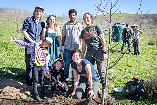 Working towards Billion Trees Campaign