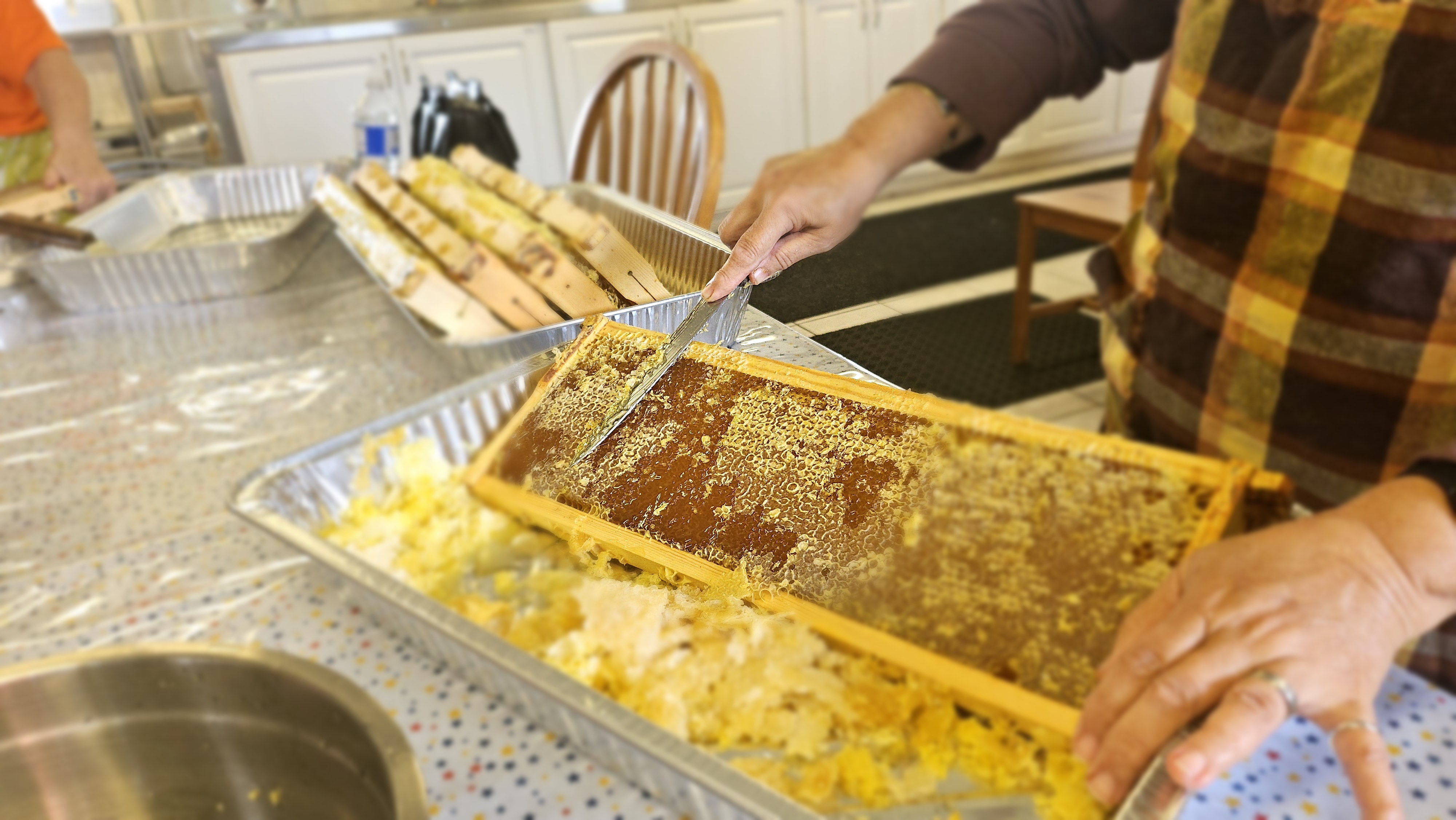 Hands uncapping honey in frame