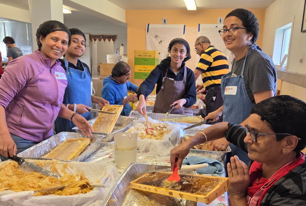 Volunteers uncapping honey in frames