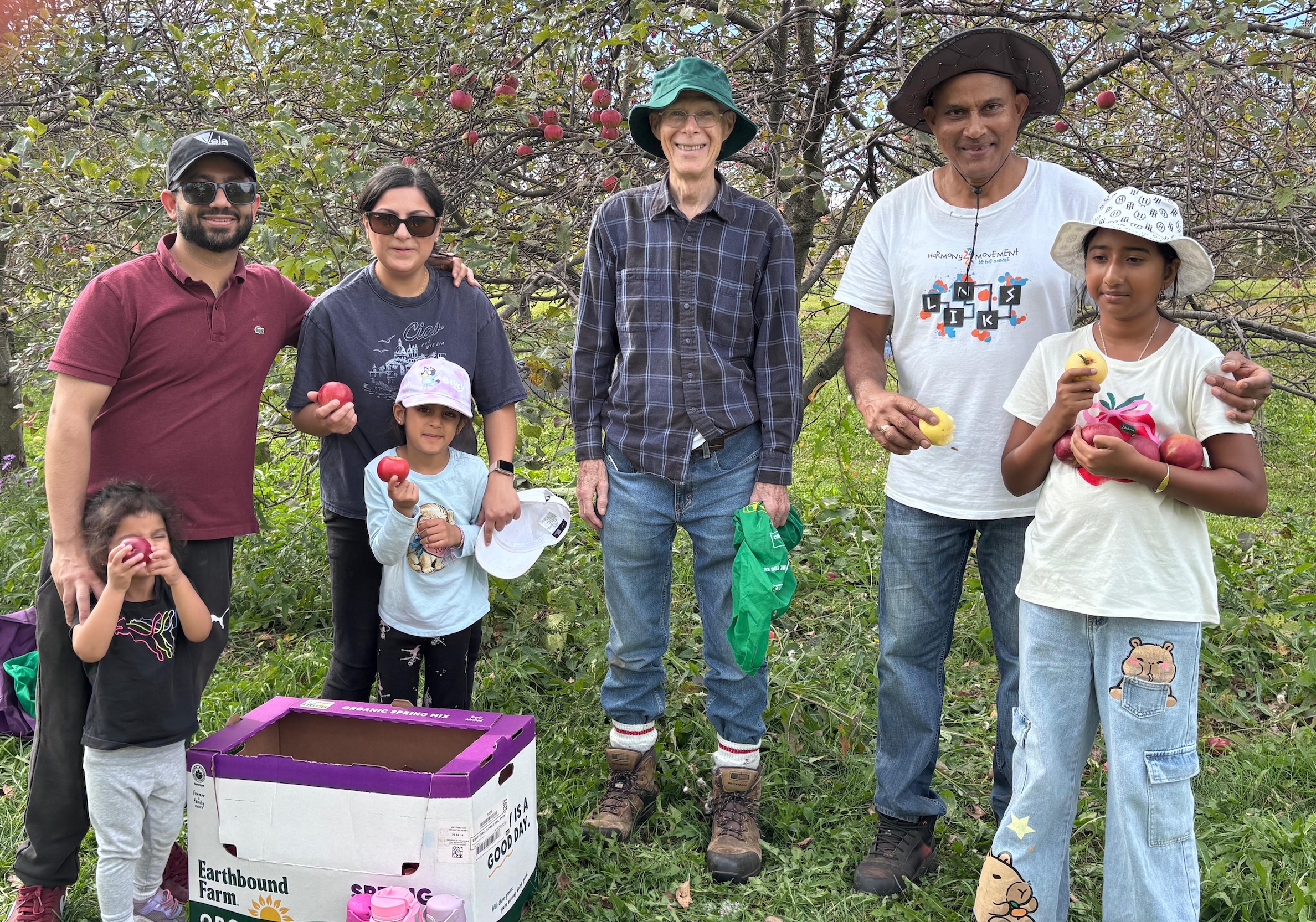 Volunteers picking apples