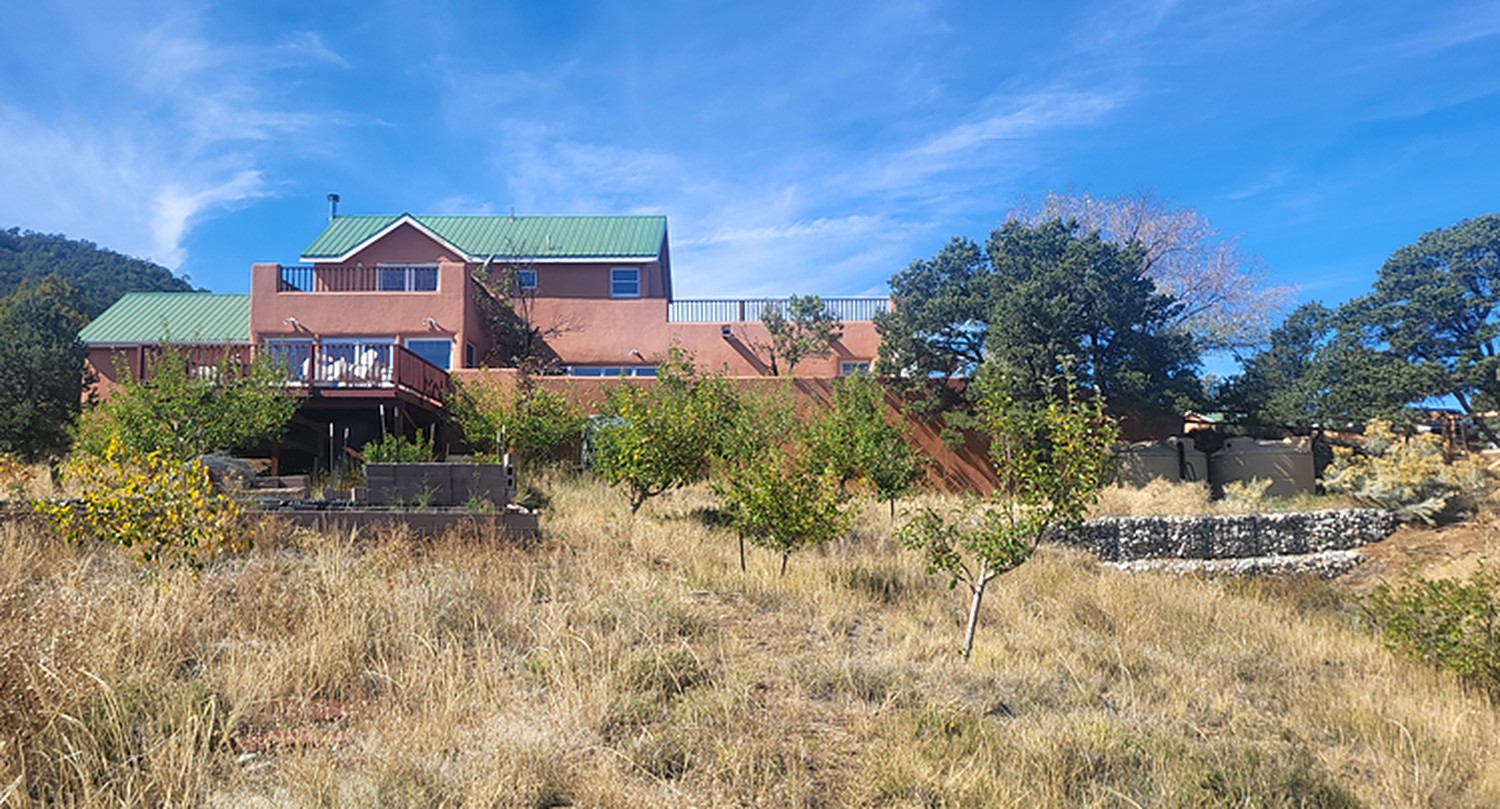 Young fruit trees in Amma's orchard at the Amma Center of New Mexico