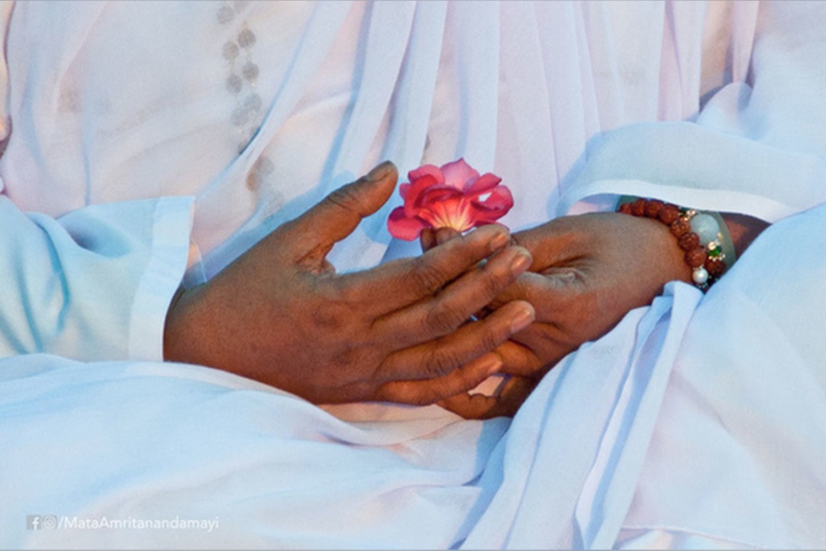 Amma's hands holding a pink rose
