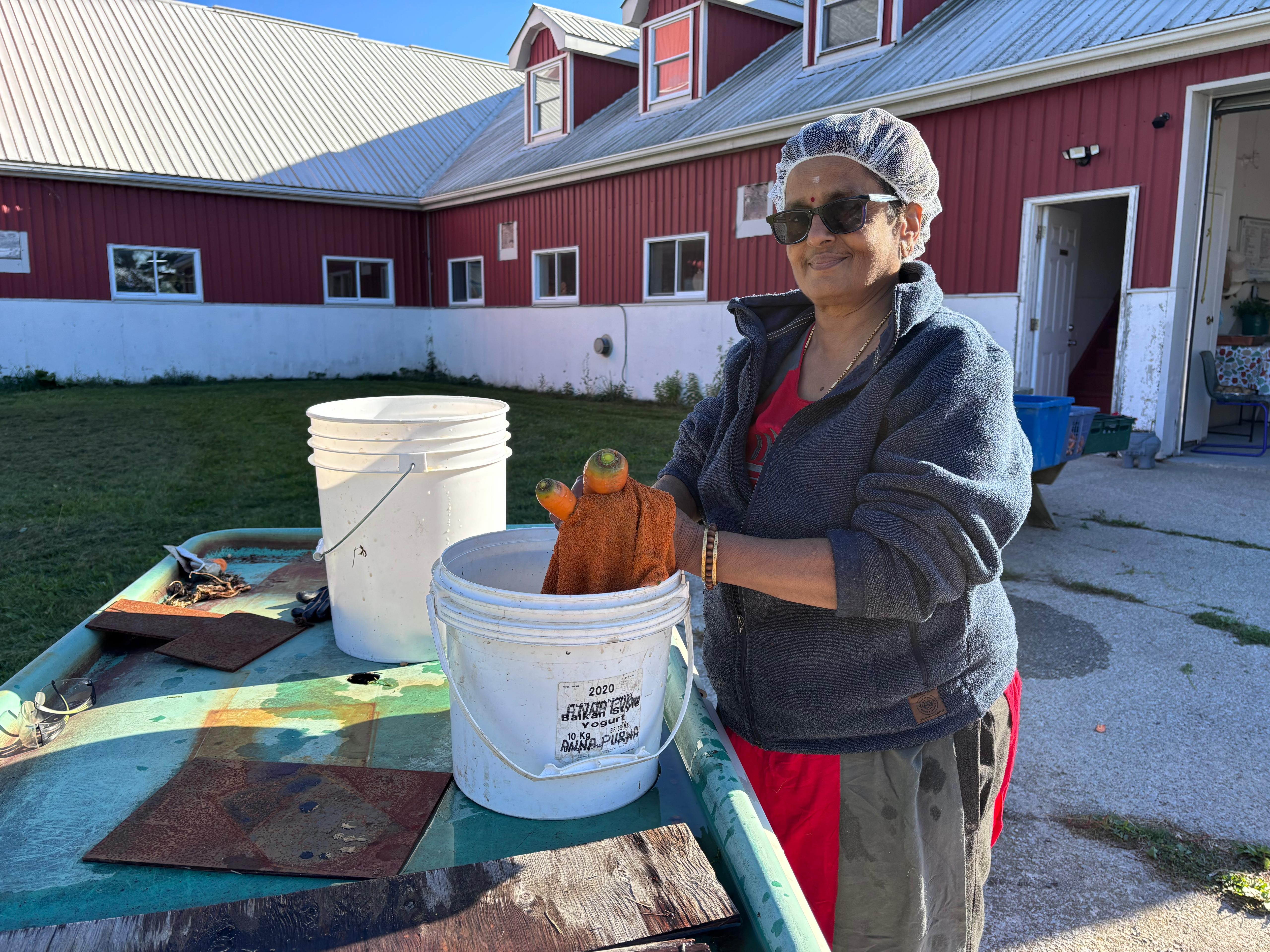Kamala Aunty washing carrots