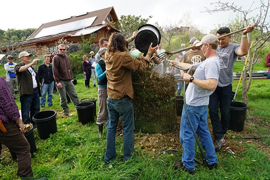 Volunteers gathered around a young tree, filling the hole and mulching it