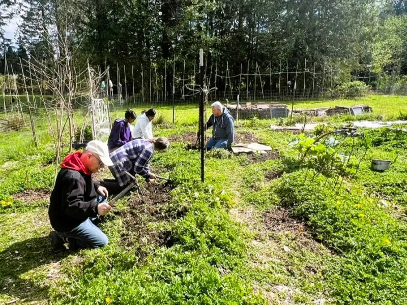 GreenFriends volunteers in the garden