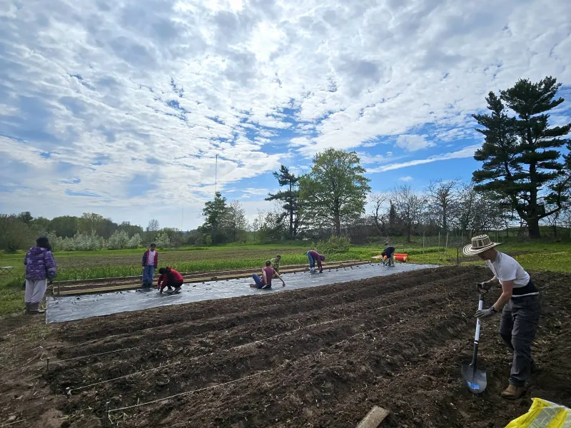 Farm Update: Spring Planting and Moving the Beehives