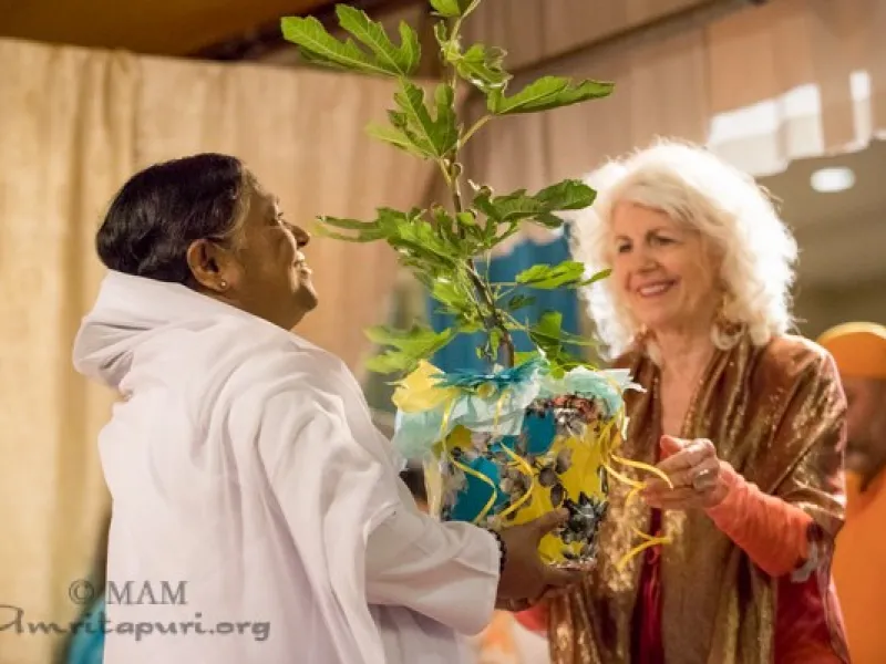 Amma in Washington D.C. - Summer Tour 2017