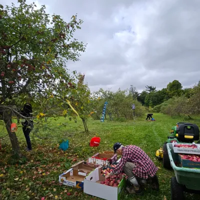 Farm Harvest Day — Vishwa Seva Dinam